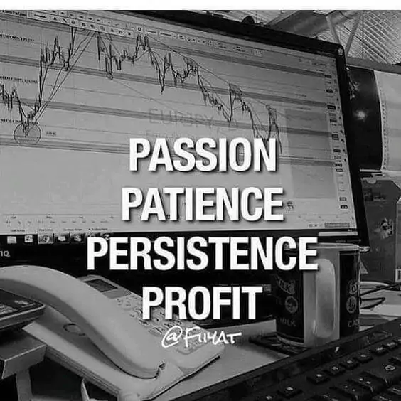 Passion Patience Persistence Profit