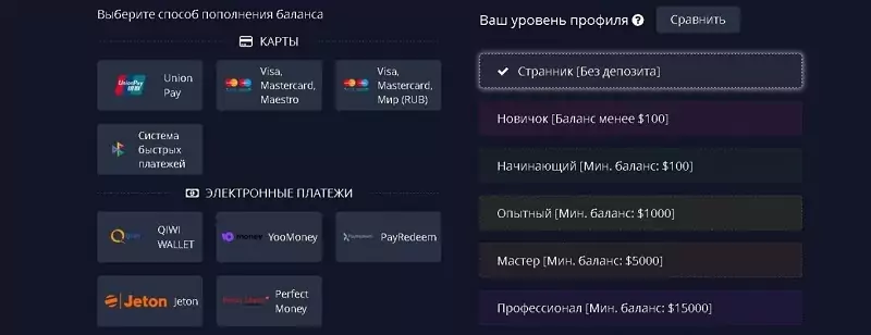 Visa в рублях