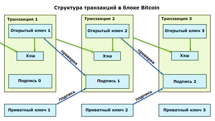 Структура транзакций в блоке Bitcoin